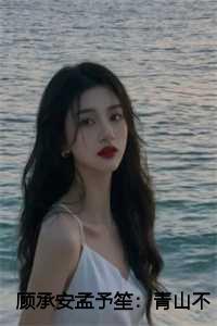 顾承安孟予笙:青山不见来时路