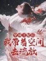 穿成王妃后,我带着空间去流放