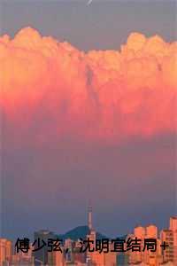 傅少弦,沈明宜结局+番外