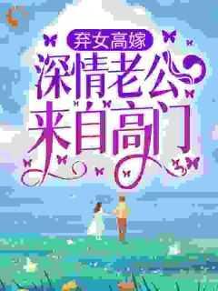 弃女高嫁:深情老公来自高门宝藏文