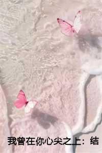 我曾在你心尖之上:结局+番外