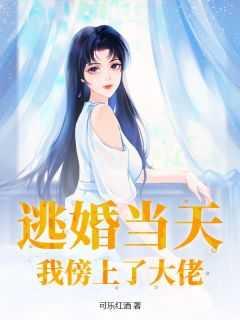 逃婚当天,我傍上了大佬