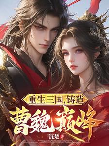 重生三国,家兄孟德