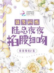 强势闪婚:陆总夜夜掐腰细吻
