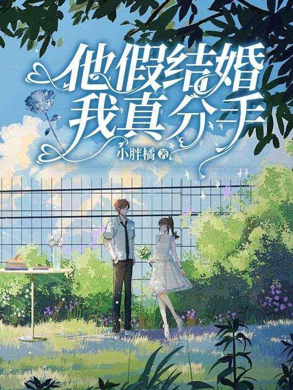 他假结婚,我真分手