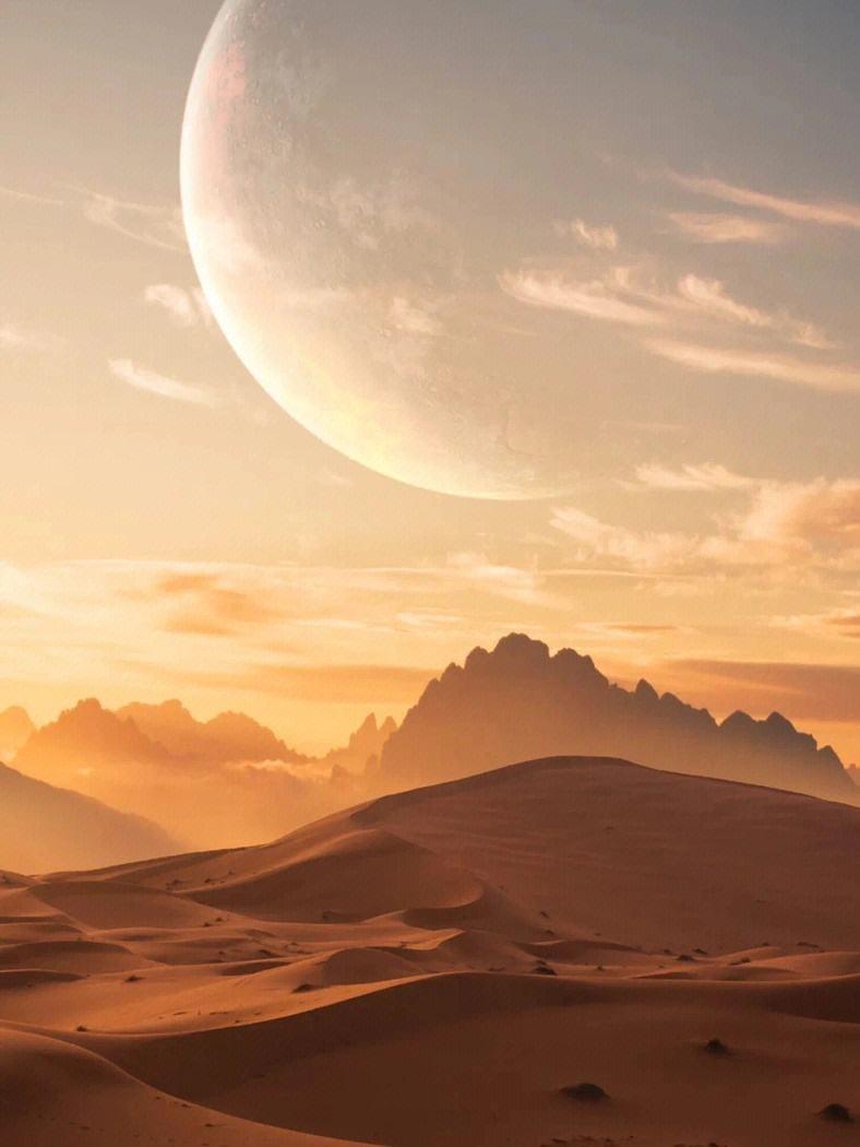 攻略失败后,丈夫哭求我别走