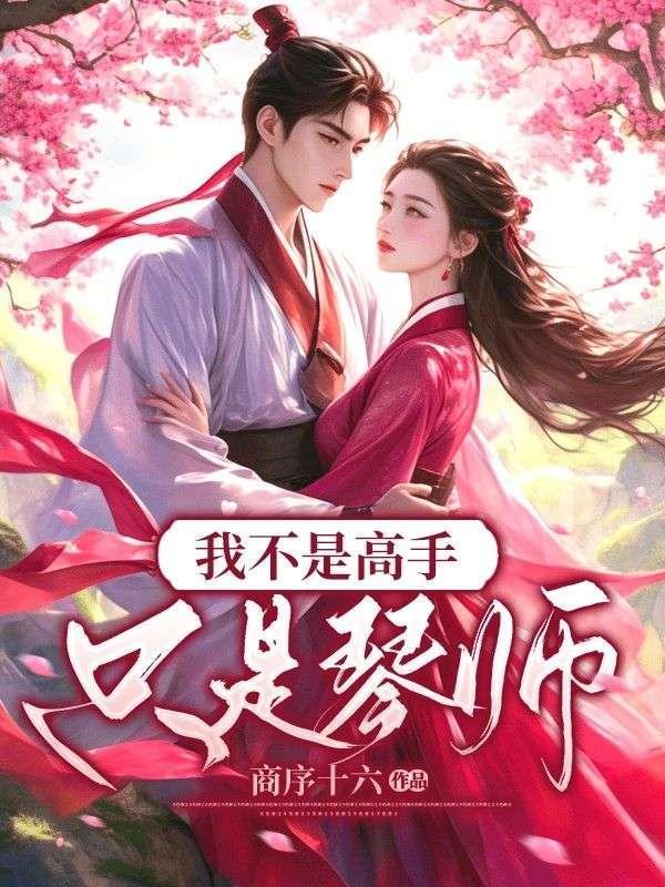 我不是高手,只是琴师