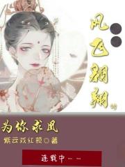 凤飞翱翔兮,为你求凰