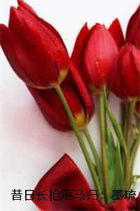 昔日长枪落马归:墨琉璃全文+后续