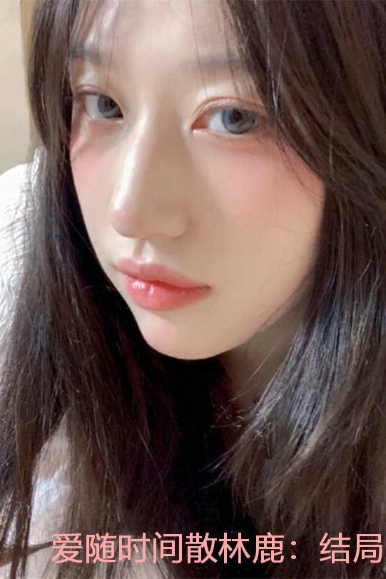爱随时间散林鹿:结局+番外