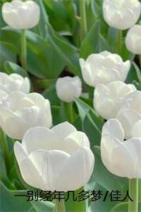 一别经年几多梦佳人多晚归：结局+番外虞夕晚陆景珩