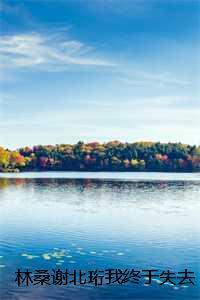林桑谢北珩我终于失去了你：全文+结局+番外