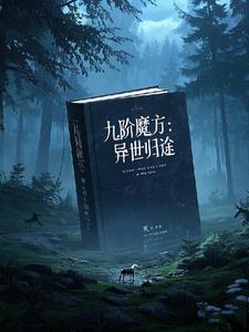 九阶魔方:异界归途