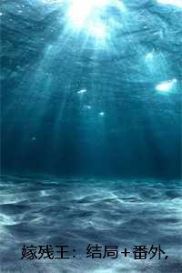 嫁残王：结局+番外林瑶墨北烨