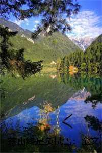 苍山终是负拭雪：全文+后续+结局