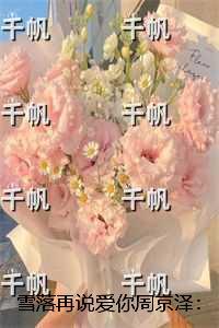 雪落再说爱你周京泽:后续+全文+番外