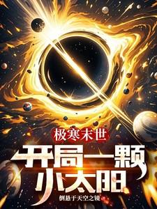 极寒末世:开局一颗小太阳