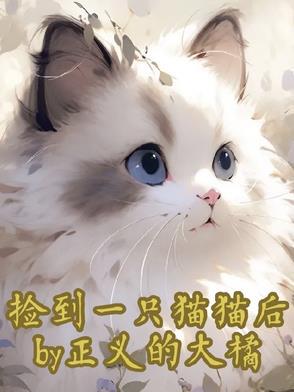 捡到一只猫猫后
