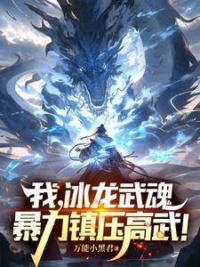 我，冰龙武魂，暴力镇压高武！