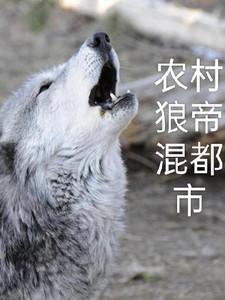 农村狼帝混都市