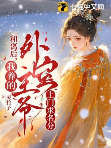 和离后,我养的外室王爷上门求名分