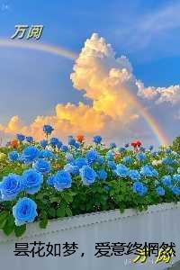 昙花如梦，爱意终惘然:+全文+后续