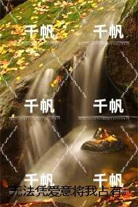 无法凭爱意将我占有:极佳剧情