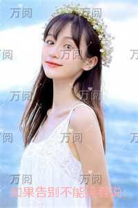 如果告别不能笑着说:结局+番外完结