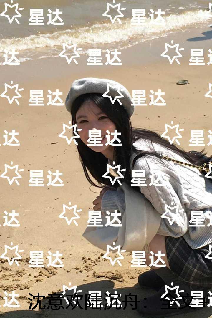 沈意欢陆沉舟:小说免费阅读