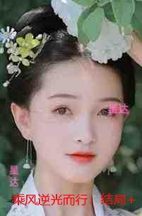 乘风逆光而行:完结分享