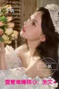 爱意难缚我心高分言情