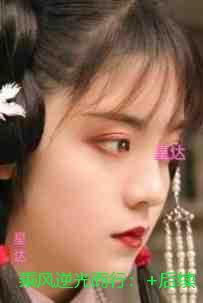 乘风逆光而行:良心推荐
