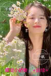 盛宠小娇妻:全集