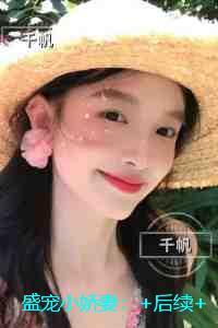 盛宠小娇妻:短篇小说阅读