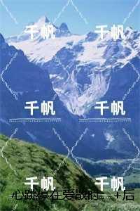 心跳停在爱散时:全本小说推荐