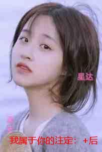 我属于你的注定：无弹窗大结局