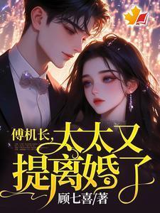 傅机长，太太又提离婚了