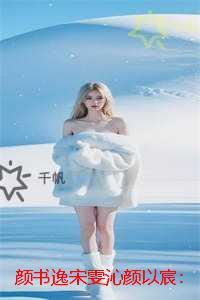 颜书逸宋雯沁颜以宸:完结全本