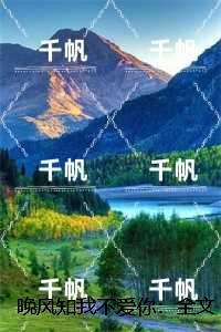 晚风知我不爱你:沈倾羽沈归之完整作品