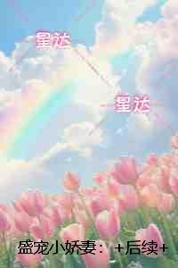 盛宠小娇妻：全文+番外+后续