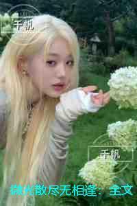 微光散尽无相逢:在线品鉴