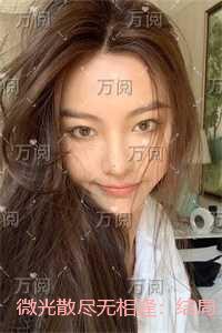 微光散尽无相逢:小说在线阅读
