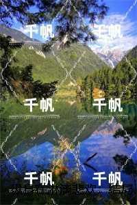 纵身在淋漓悲欢:后续章节在线阅读