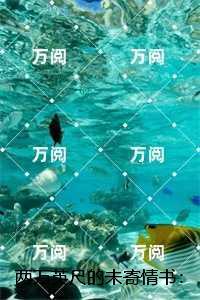 两万英尺的未寄情书:完结精选作品