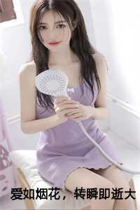 爱如烟花,转瞬即逝全面完结