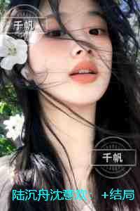 陆沉舟沈意欢:正版
