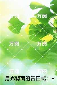 月光背面的告白式:安声宋雯