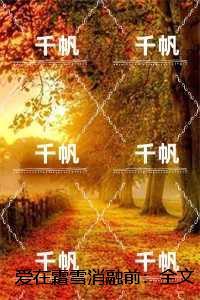 爱在霜雪消融前:+结局+畅读