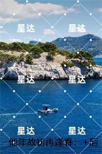他年故初再逢春:精心编著