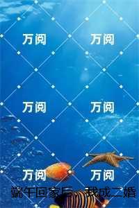 端午回家后,我成二婚了绵绵+结局+完结